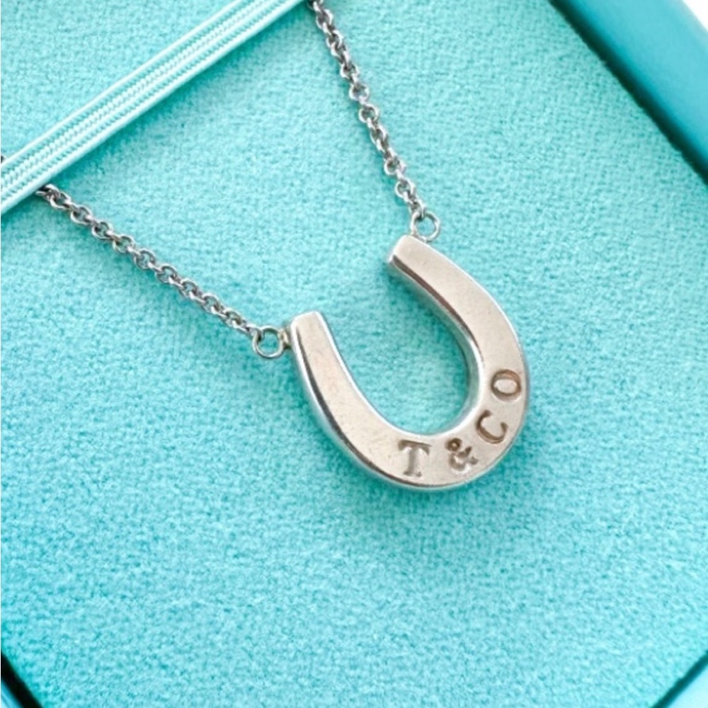 VERY RARE Sterling silver Tiffany & Co. 16” horseshoe necklace. Great condition!